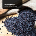 Karuppu Kavuni Rice
