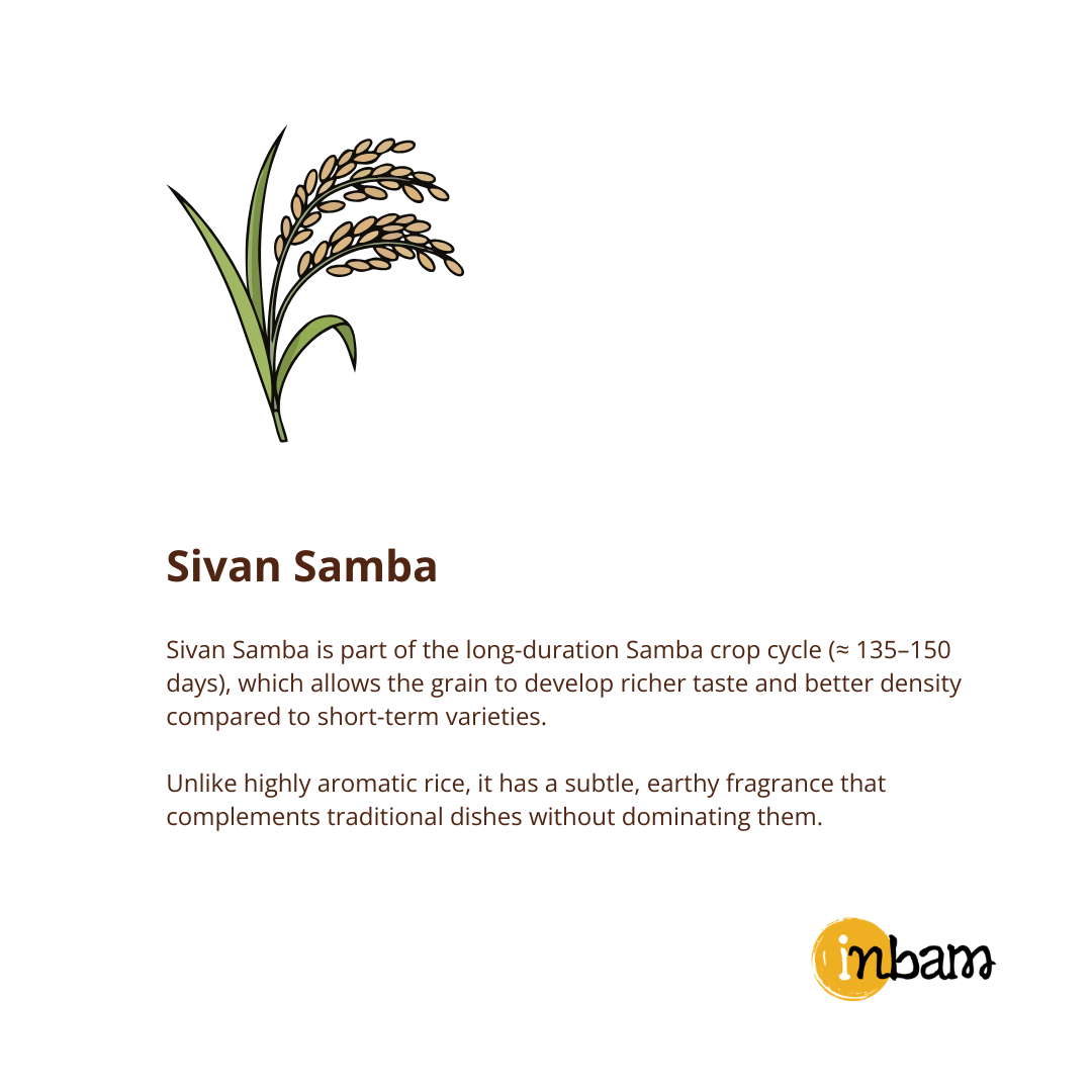 Sivan Samba Rice